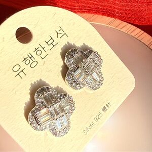 Elegant Silver Earrings